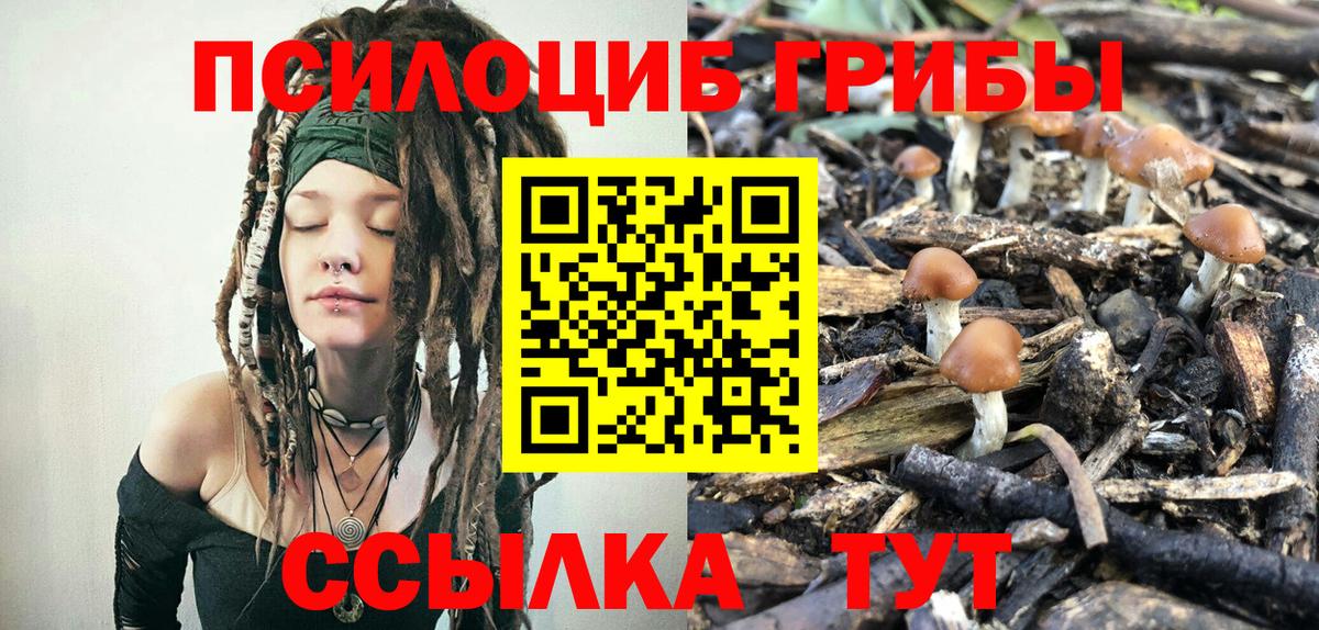 Псилоцибиновые грибы мухоморы  Вход с VPN  Горячий Ключ 